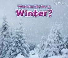 Image of What Can You See In Winter?