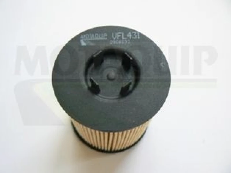 Image of MOTAQUIP Oil filter MOTAQUIP VFL431