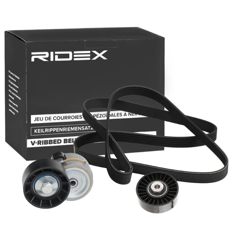 Image of RIDEX 542R0919 V-ribbed belt set V-Ribbed Belt Set (542)