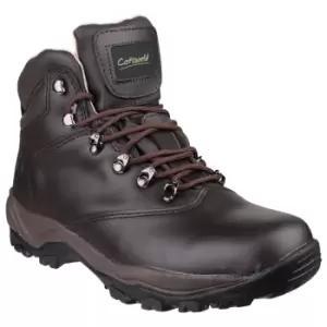 Image of Cotswold Womens/Ladies Winstone Lace Up Boots (3 UK) (Brown)