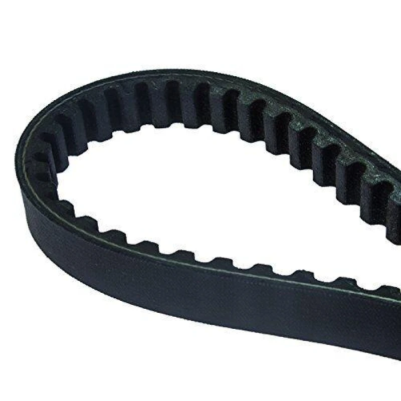 Image of 941029 - Dayco Timing Belt For Ducati 907 I.E. 1990-1993 - Black 941029