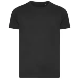 Image of Ecologie Childrens/Kids Cascades Organic T-Shirt (12-13 Years) (Charcoal)