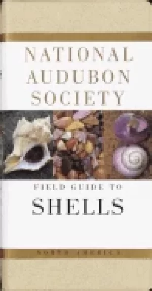 Image of national audubon society field guide to north american seashells