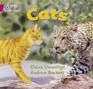 Image of Cats by Claire Llewellyn