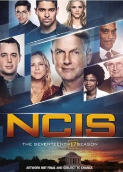 Image of NCIS The Seventeenth Season - DVD Boxset