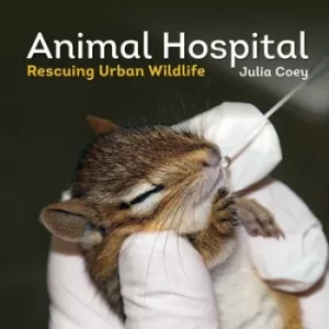 Image of Animal hospital by Julia Coey