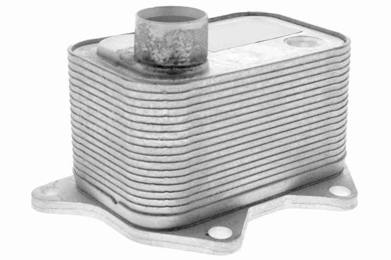 Image of Engine oil cooler VEMO V15-60-0015