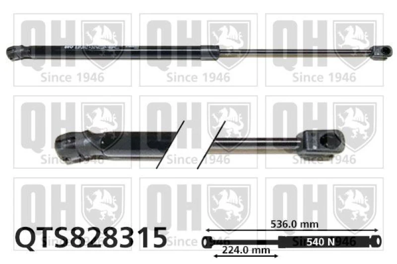 Image of QUINTON HAZELL Tailgate strut QUINTON HAZELL QTS828315
