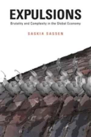 Image of expulsions brutality and complexity in the global economy
