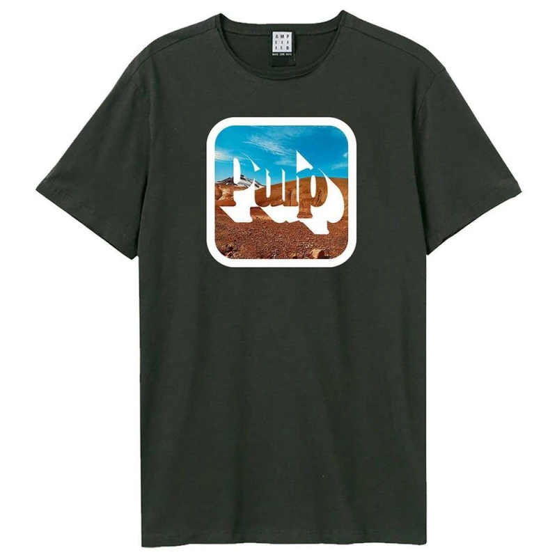 Image of Amplified Womens Mirror Sign Pulp T-Shirt in Charcoal Size: Large Charcoal Female L