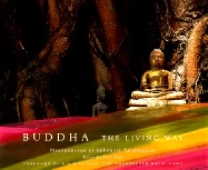 Image of buddha the living way