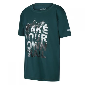 Image of Regatta Alvarado V - Deep Teal