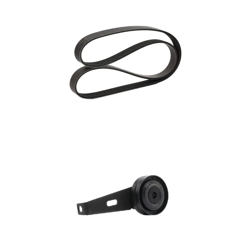 Image of goCORE GCE420021 V-ribbed belt set V-Ribbed Belt Set (542)