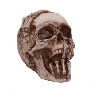 Image of Breaking Out Skull