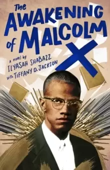Image of The Awakening of Malcolm X : A Novel