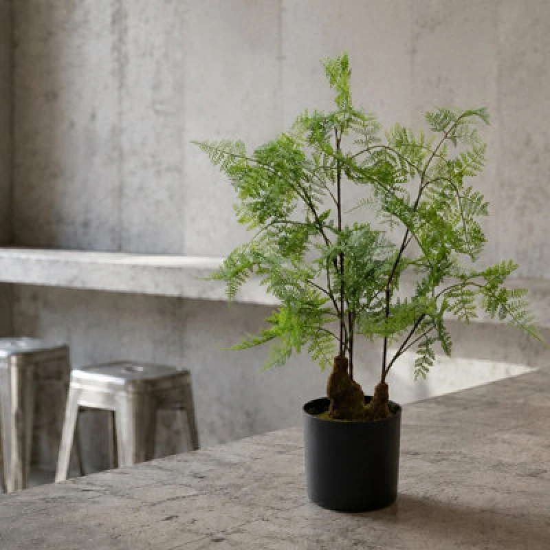 Image of Leaf 60cm Artificial Natural Moss Base Fern Foliage Plant Realistic Green
