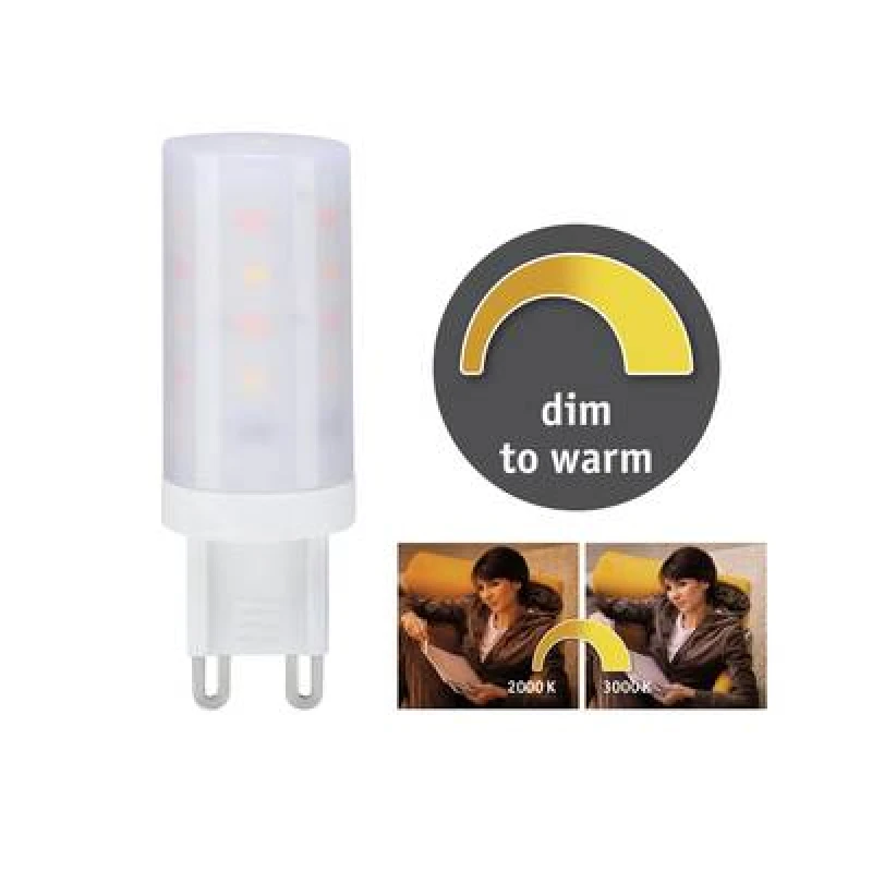 Image of Paulmann Paulmann 28819 LED (monochrome) EEC G (A - G) G9 4 W Gold (Ø x H) 18mm x 55mm 28819