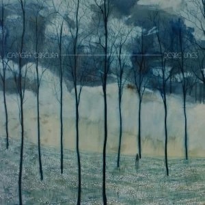 Image of Camera Obscura - Desire Lines CD