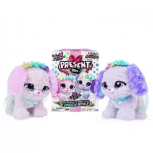Image of Present Pets Rainbow Fairy