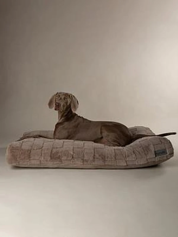 Image of Scruffs Oxford Dog Bed Mattress Large Silver BED/RCD/829917