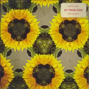 Image of Calvin Harris By Your Side 2021 UK 12" picture disc 19075862421