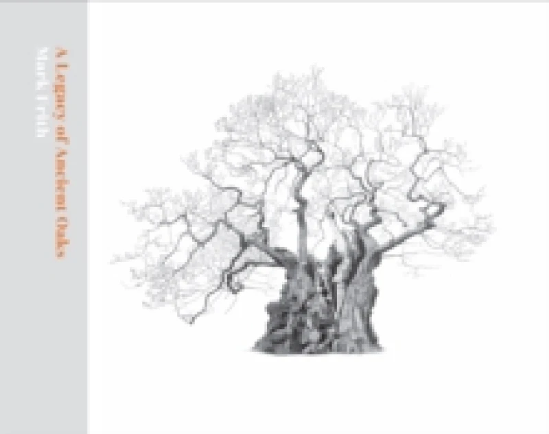 Image of A Legacy of Ancient Oaks Hardback