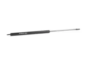 Image of RIDEX Tailgate strut VW 219G0275 171827550A