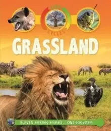 Image of Life Cycles: Grassland