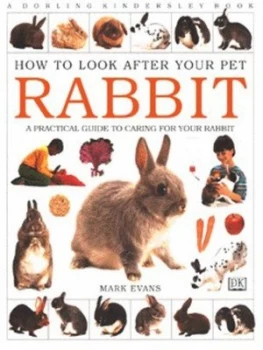 Image of Rabbit by Mark Evans Paperback