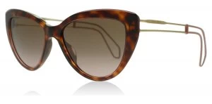 image of Miu Miu 12RS Sunglasses Havana / Pink Transparent U6G5P1 55mm