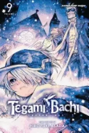 Image of tegami bachi vol 9