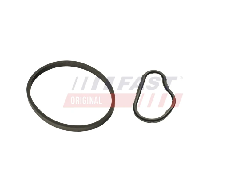 Image of FAST Gasket, vacuum pump FAST FT48943