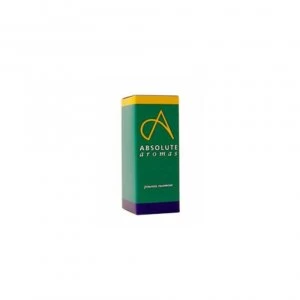 image of Absolute Aromas Basil Oil 10ml