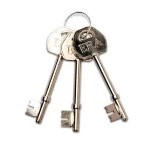 image of 3 Replacement Keys