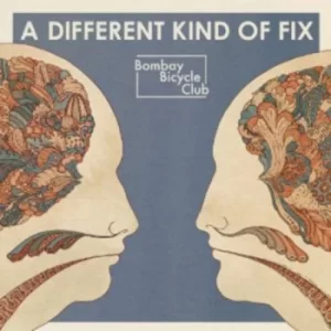 Image of Bombay Bicycle Club ‎- A Different Kind Of Fix Vinyl