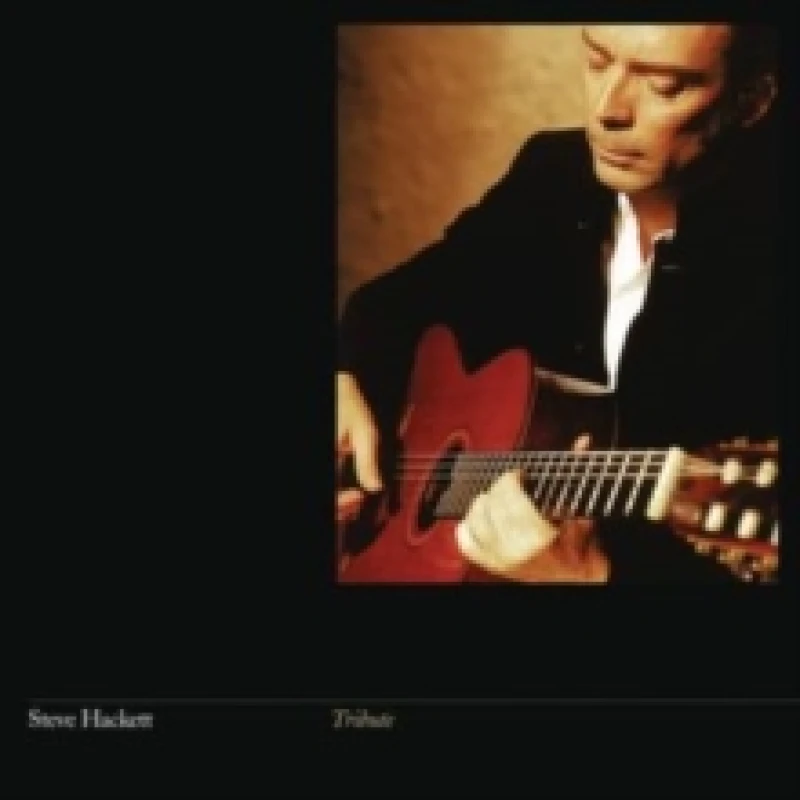 Image of Steve Hackett: Tribute Vinyl
