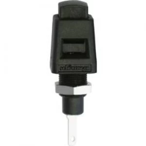 Image of Spring loaded mounting terminal Black 5 A Schuetzinger ESD 4323 S