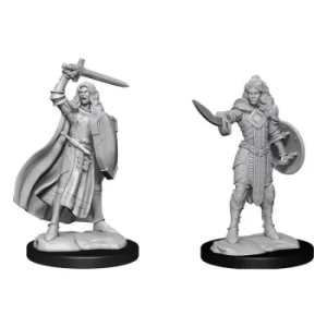 Image of Pathfinder Battles Deep Cuts Unpainted Miniatures Human Champion Female Case (6)