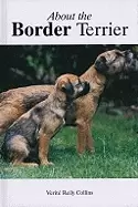 Image of about the border terrier