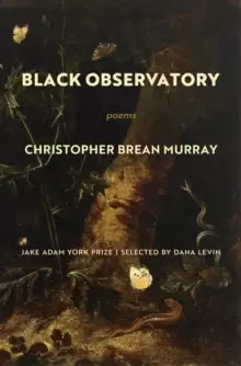 Image of Black Observatory : Poems