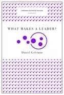 Image of what makes a leader goleman daniel