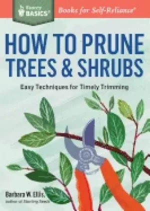 Image of how to prune trees and shrubs easy techniques for timely trimming