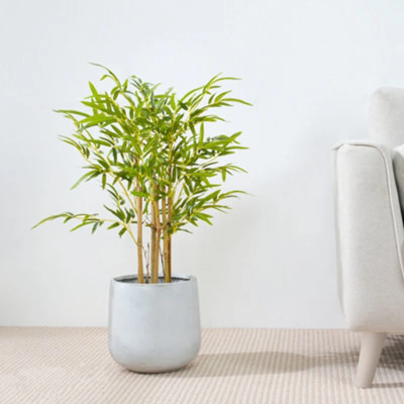 Image of MCC Direct Artificial Fake Bamboo Tree Plant with Plastic Planter Pot 80cm Multi