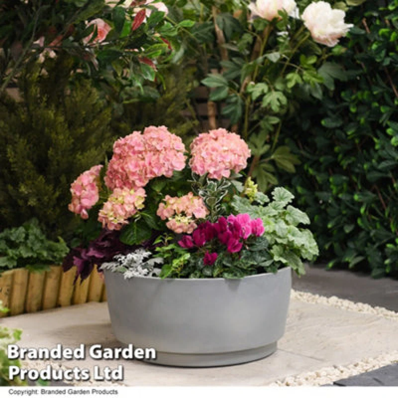 Image of Garden Gear Caesar Concrete Effect Bowl Planter For Garden Outdoor Patio Grey Small (X2)