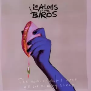 image of The Moths of What I Want Will Eat Me in My Sleep by Jealous Of The Birds CD Album