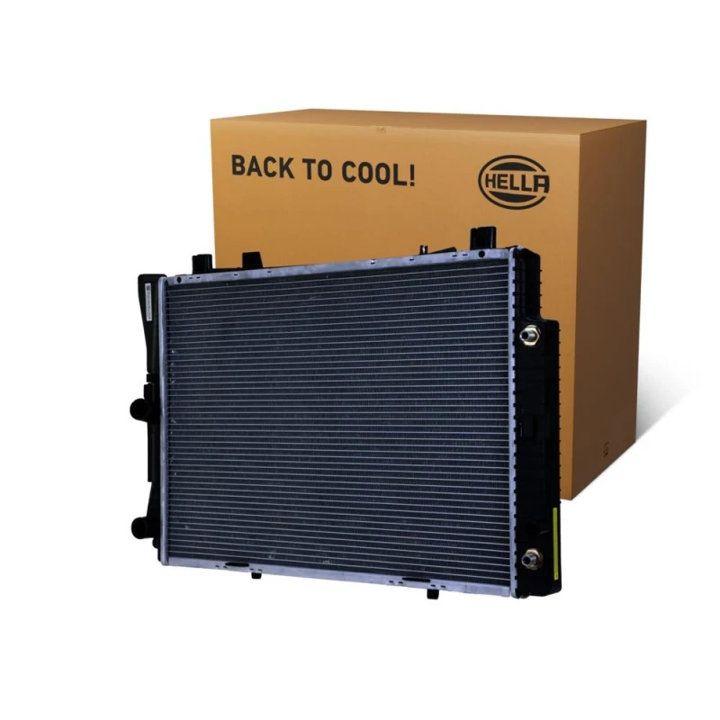 Image of HELLA Engine radiator HELLA 8MK 366 300-481