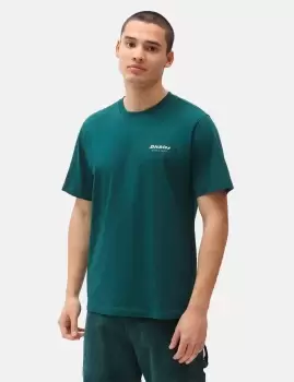 Image of Dickies Reworked T-Shirt - Ponderosa Pine Green