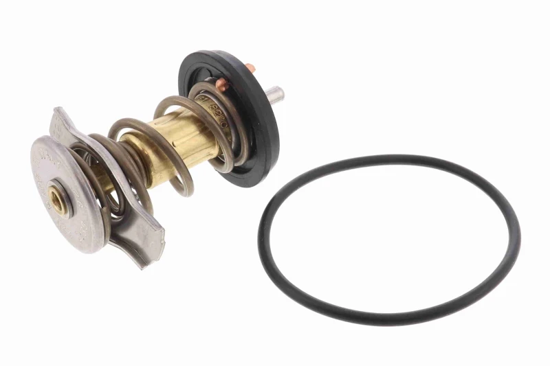 Image of Thermostat VEMO V24-99-1273