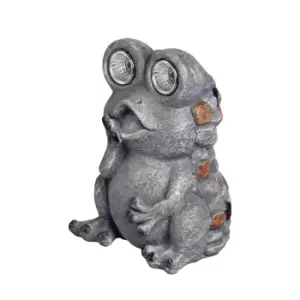 Image of Solar Stone Frog LED Light