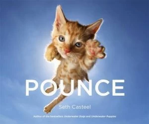 Image of Pounce by Seth Casteel Hardback